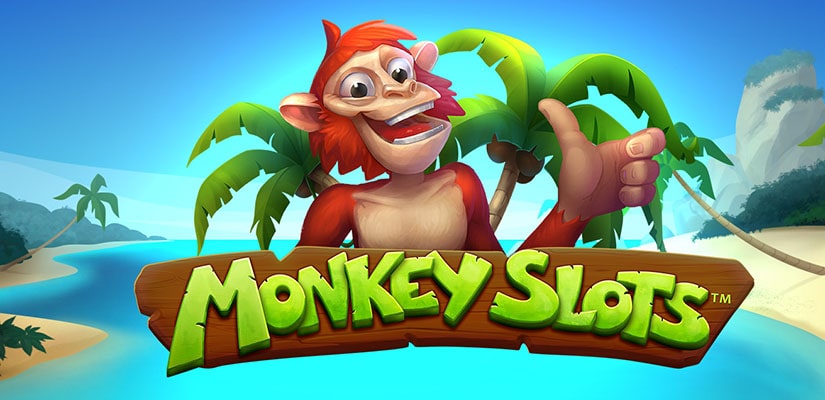 Monkey Slot Review - Play Monkey Slot Online